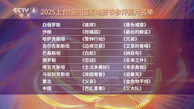 白夜追凶第一季全集